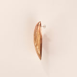 Enkele mosseloorbel